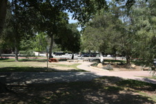 Enlarge photo 65