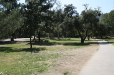Enlarge photo 67