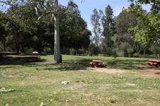 Enlarge photo 73