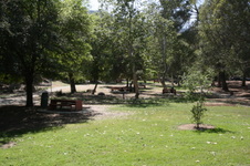 Enlarge photo 75