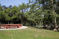 Enlarge photo 77
