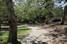 Enlarge photo 78