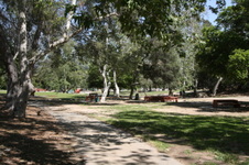 Enlarge photo 79