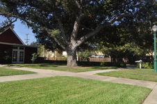 Enlarge photo 30