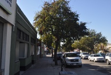 Enlarge photo 26