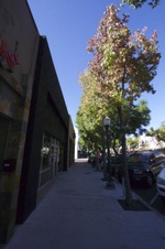 Enlarge photo 28