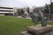 Enlarge photo 26