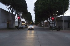 Enlarge photo 39
