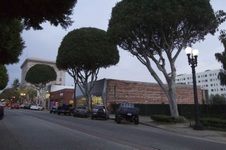 Enlarge photo 43