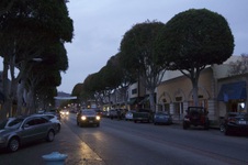 Enlarge photo 49