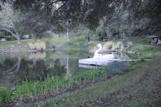 Enlarge photo 17