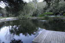 Enlarge photo 18