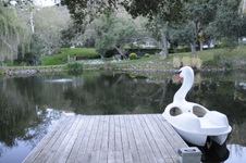 Enlarge photo 19