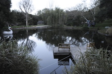 Enlarge photo 21
