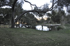 Enlarge photo 23