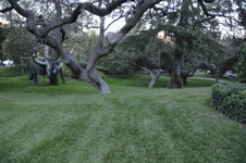 Enlarge photo 25