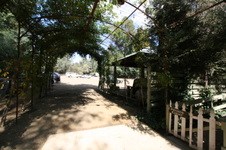 Enlarge photo 168