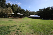 Enlarge photo 174