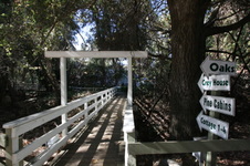 Enlarge photo 180