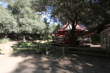 Enlarge photo 181