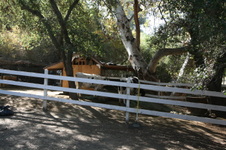 Enlarge photo 183
