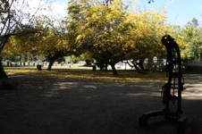 Enlarge photo 185