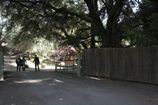 Enlarge photo 186