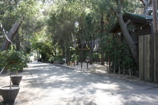 Enlarge photo 189