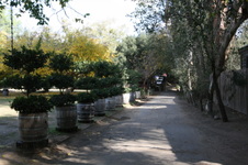 Enlarge photo 190