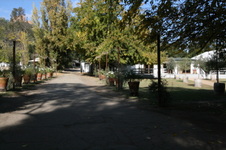 Enlarge photo 191