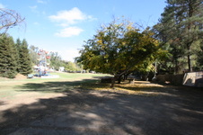Enlarge photo 196