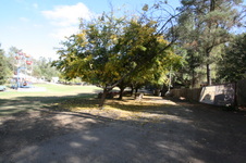 Enlarge photo 197