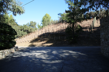 Enlarge photo 211