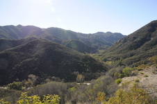 Enlarge photo 14