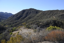 Enlarge photo 15