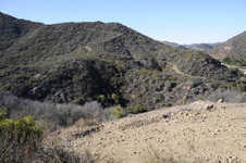 Enlarge photo 16