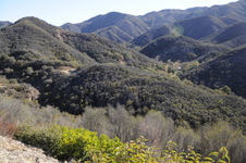 Enlarge photo 18