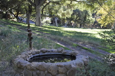 Enlarge photo 20