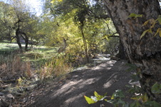 Enlarge photo 23