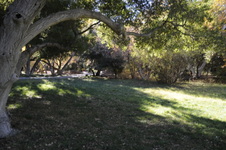 Enlarge photo 25
