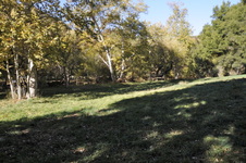 Enlarge photo 27