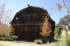 Enlarge photo 24