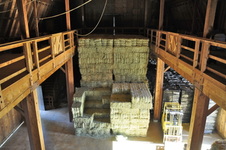 Enlarge photo 37