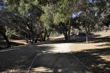 Enlarge photo 45