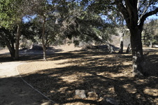 Enlarge photo 46