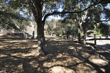 Enlarge photo 47