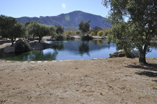 Enlarge photo 50