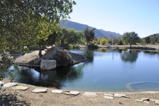 Enlarge photo 51
