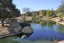 Enlarge photo 53