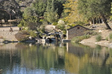 Enlarge photo 54